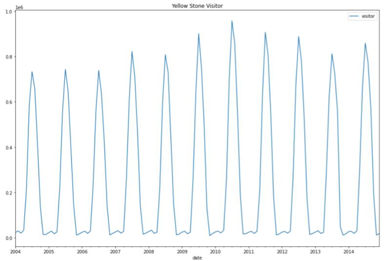 "yellow-stone-visitor"